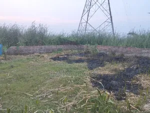ফ্লটের জমি