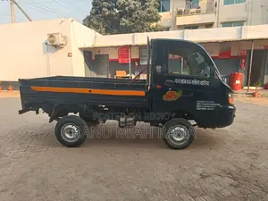 Maxximo Hd 2024