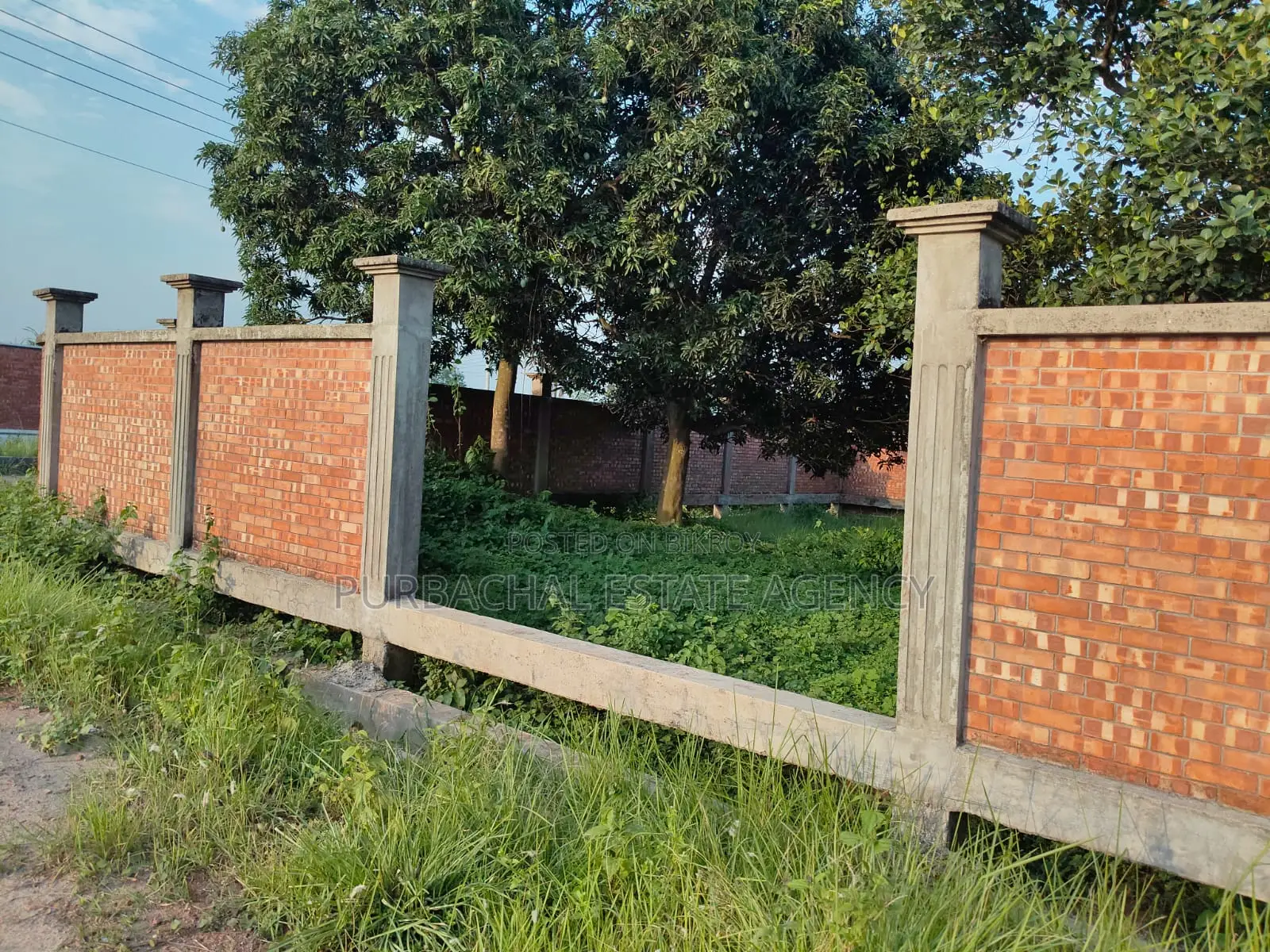 Just Beside 75ft. 3 Katha Plot 