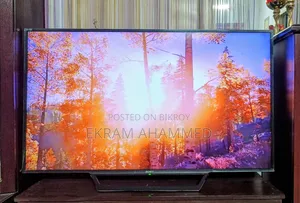 Sony Bravia 55-inch TV