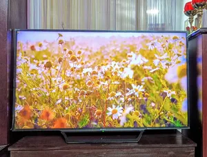 Sony Bravia 55-inch TV
