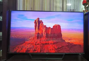 Sony Bravia 55-inch TV