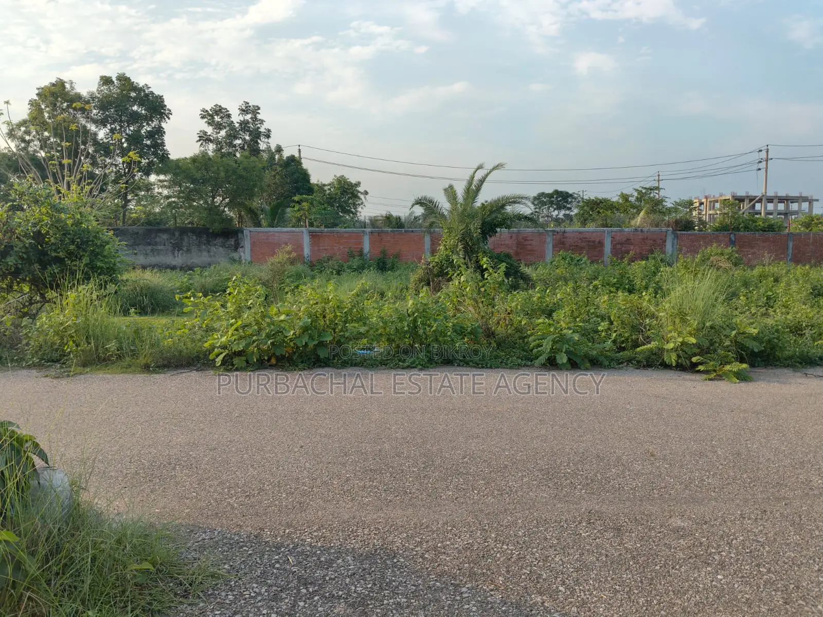54ft Road, South Facing, 10 Katha in Sec#15