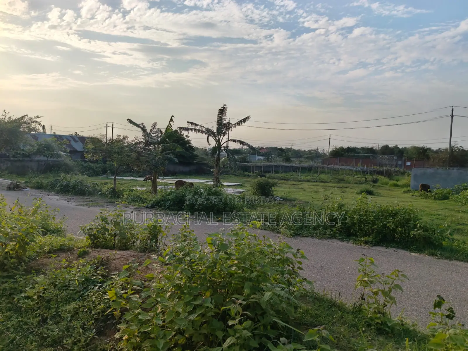54ft Road, South Facing, 10 Katha in Sec#15