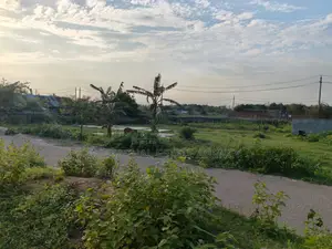 54ft Road, South Facing, 10 Katha in Sec#15