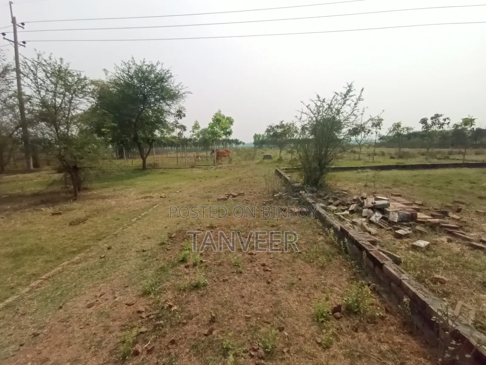 জমি বিক্রয়