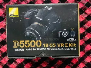 Nikon D5500 With Nikkor AF-P 18-55mm VR Kit Lens