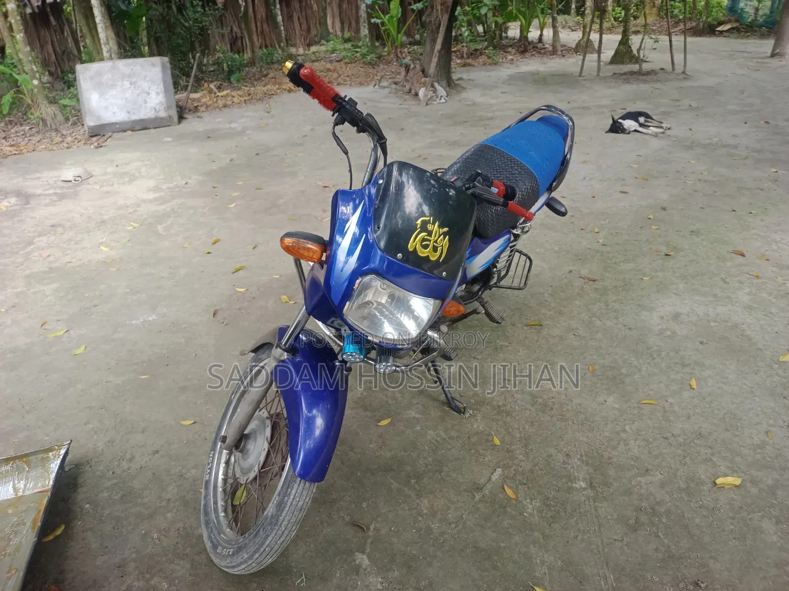 TVS 2003 Blue