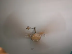 Fan for Sale