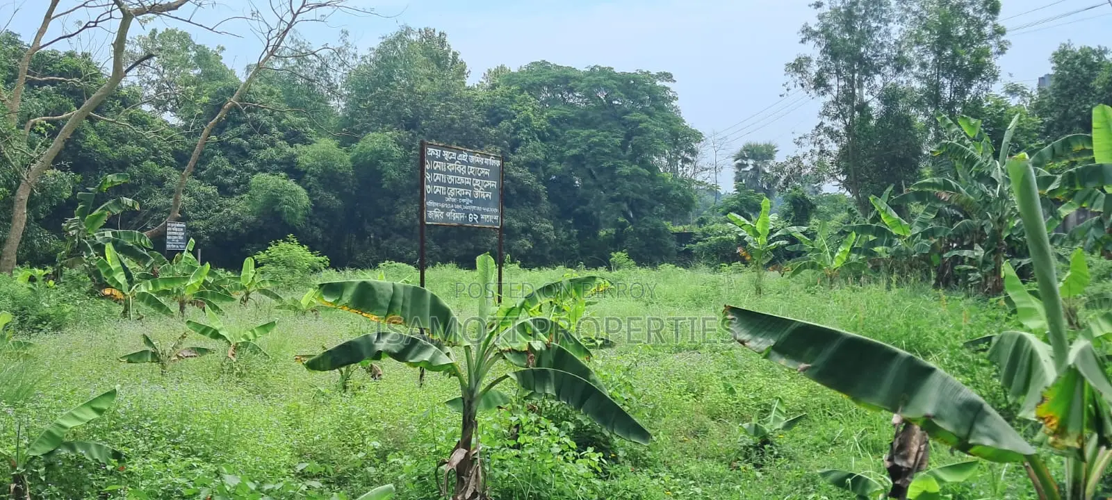 স্থানীয় ২৫ কাঠা জমি বিক্রয়