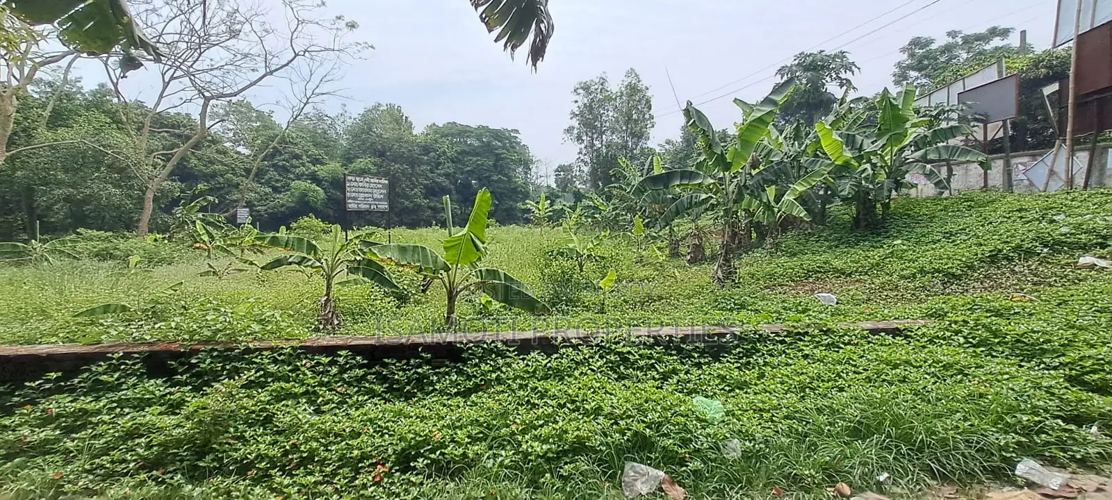 স্থানীয় ২৫ কাঠা জমি বিক্রয়