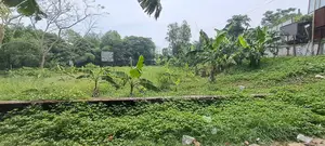 স্থানীয় ২৫ কাঠা জমি বিক্রয়