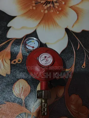 সেফটি রেগুলেটর