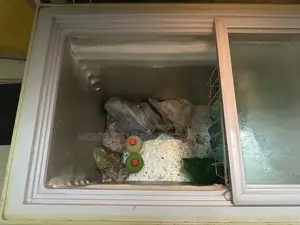 Singer Deep Freezer 205 Litre