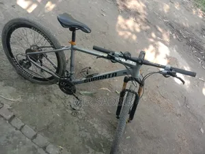Duranta Alen Axis-R01 Cycle
