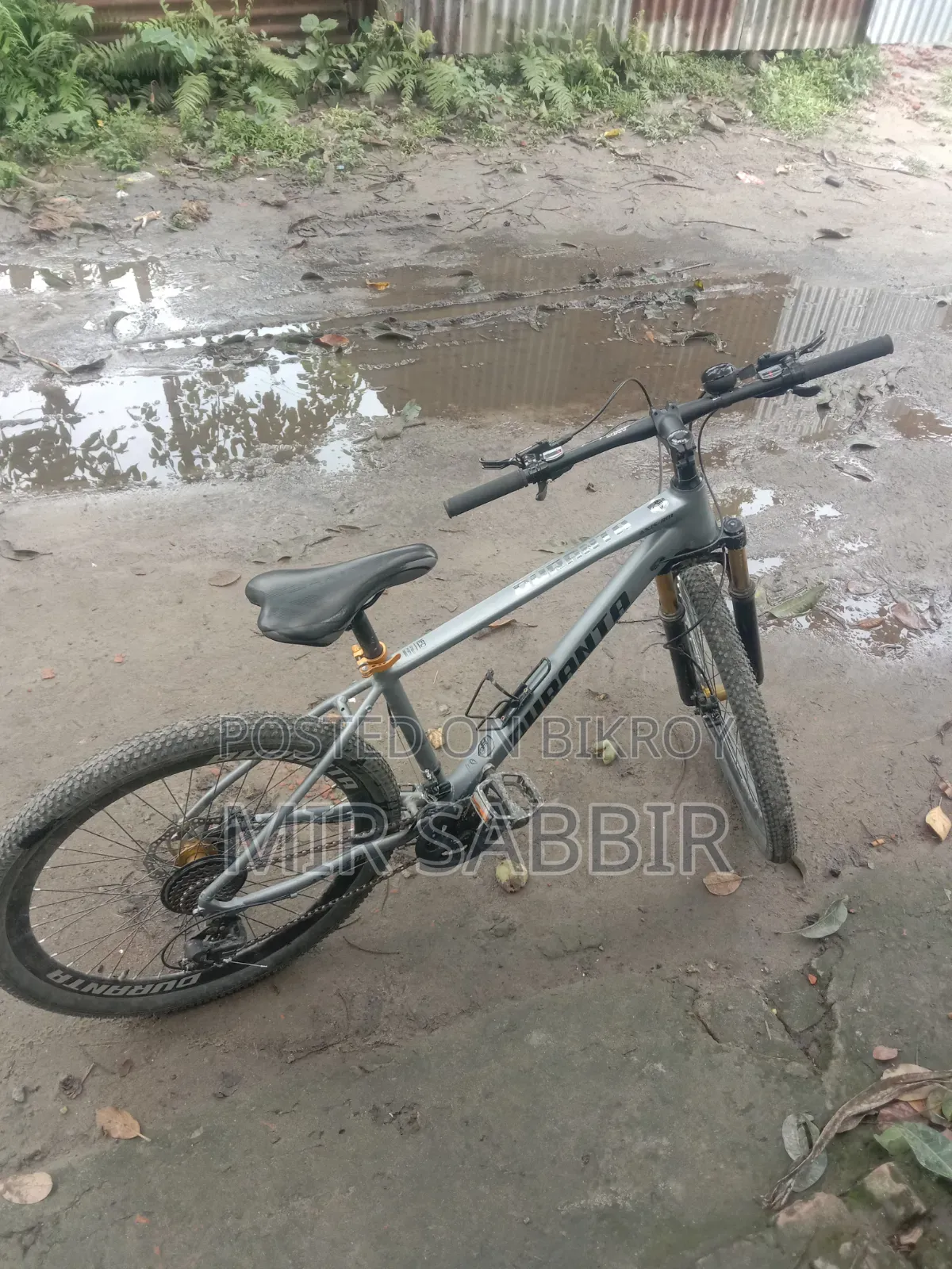 Duranta Alen Axis-R01 Cycle