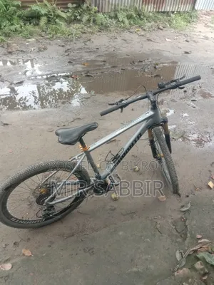 Duranta Alen Axis-R01 Cycle