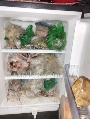 Running Fridge for Sale