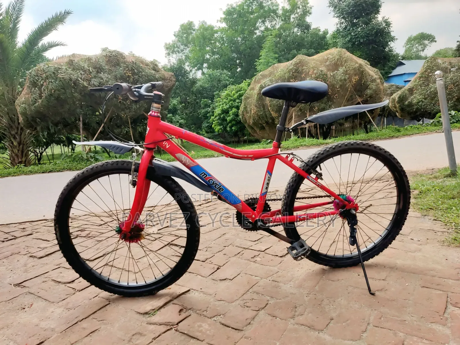 Duranta 24" Non-gear Bicycle | Fully Serviced |
