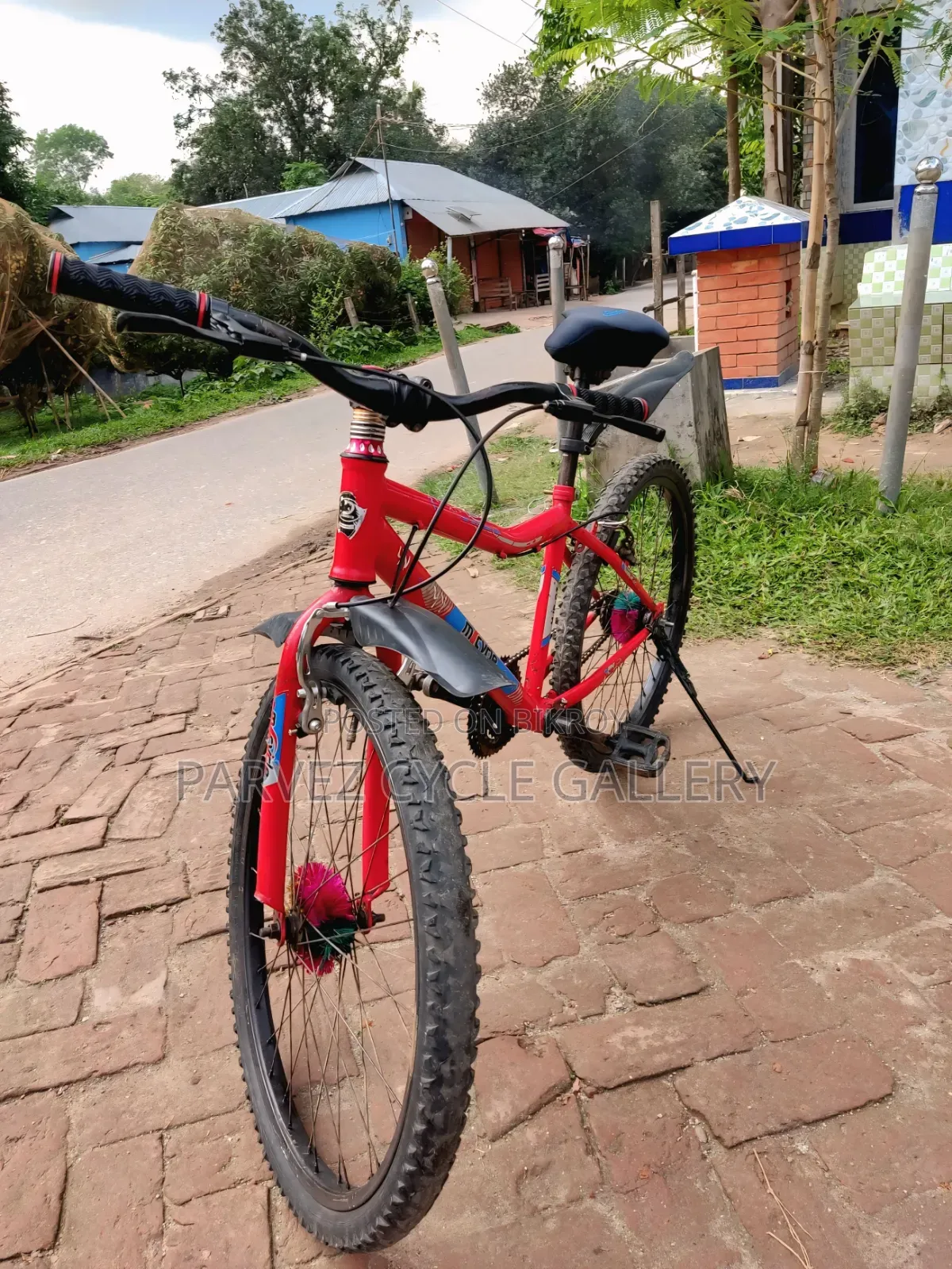 Duranta 24" Non-gear Bicycle | Fully Serviced |