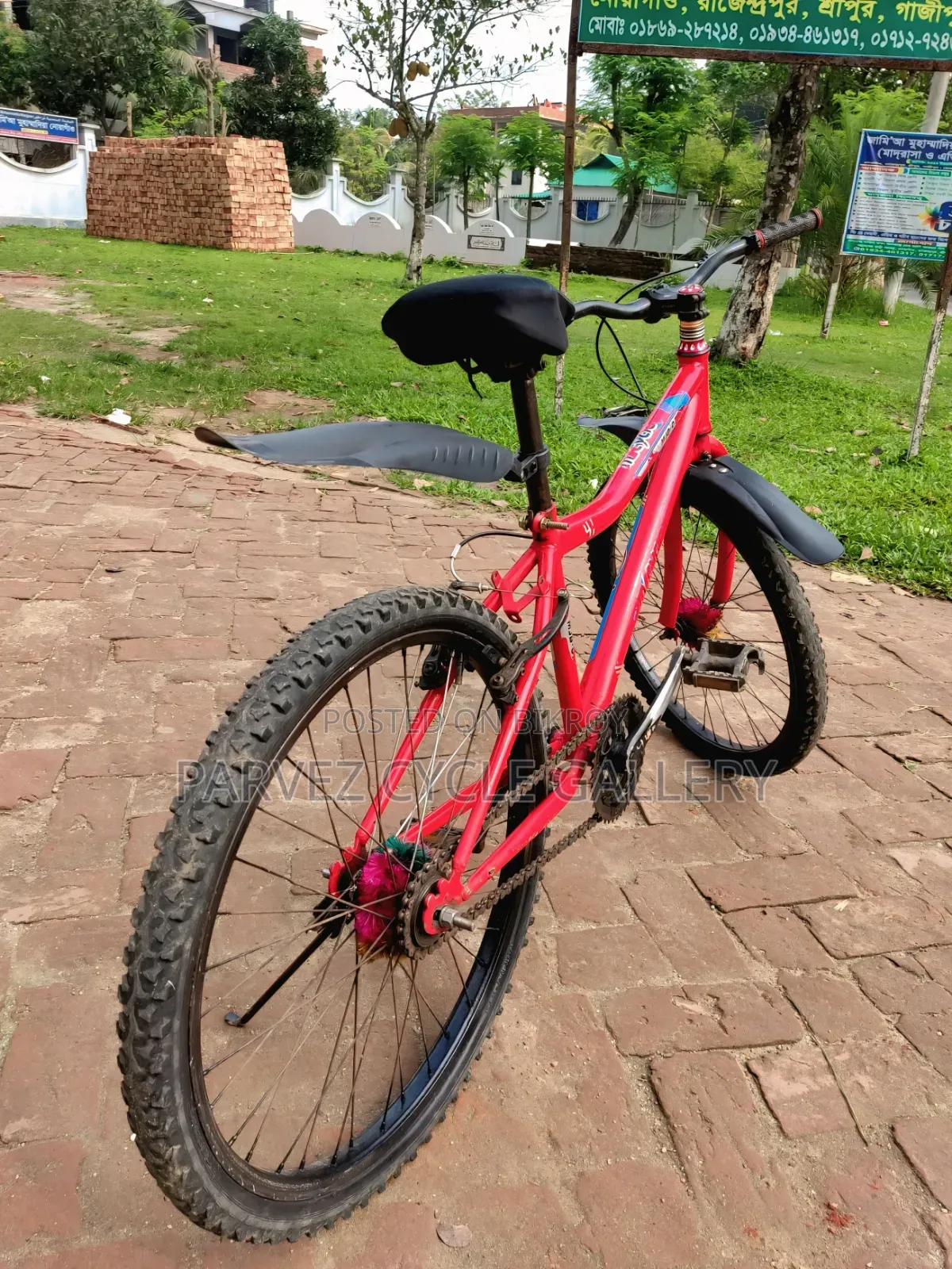 Duranta 24" Non-gear Bicycle | Fully Serviced |