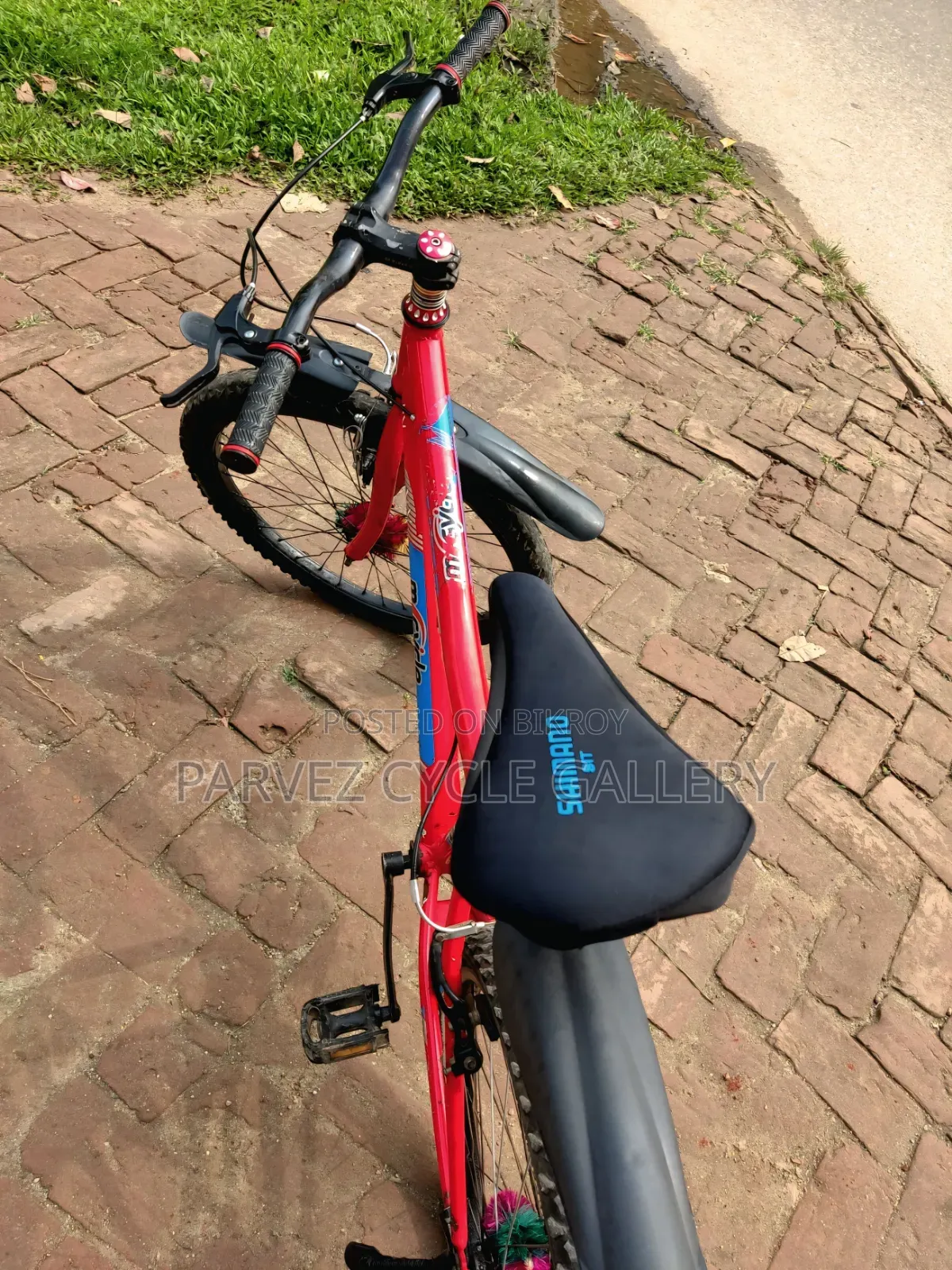 Duranta 24" Non-gear Bicycle | Fully Serviced |