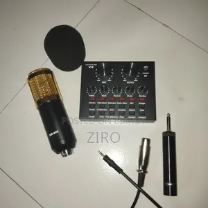 Bm 800 Microphone Original