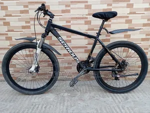 Aluminium Body Gear Cycle