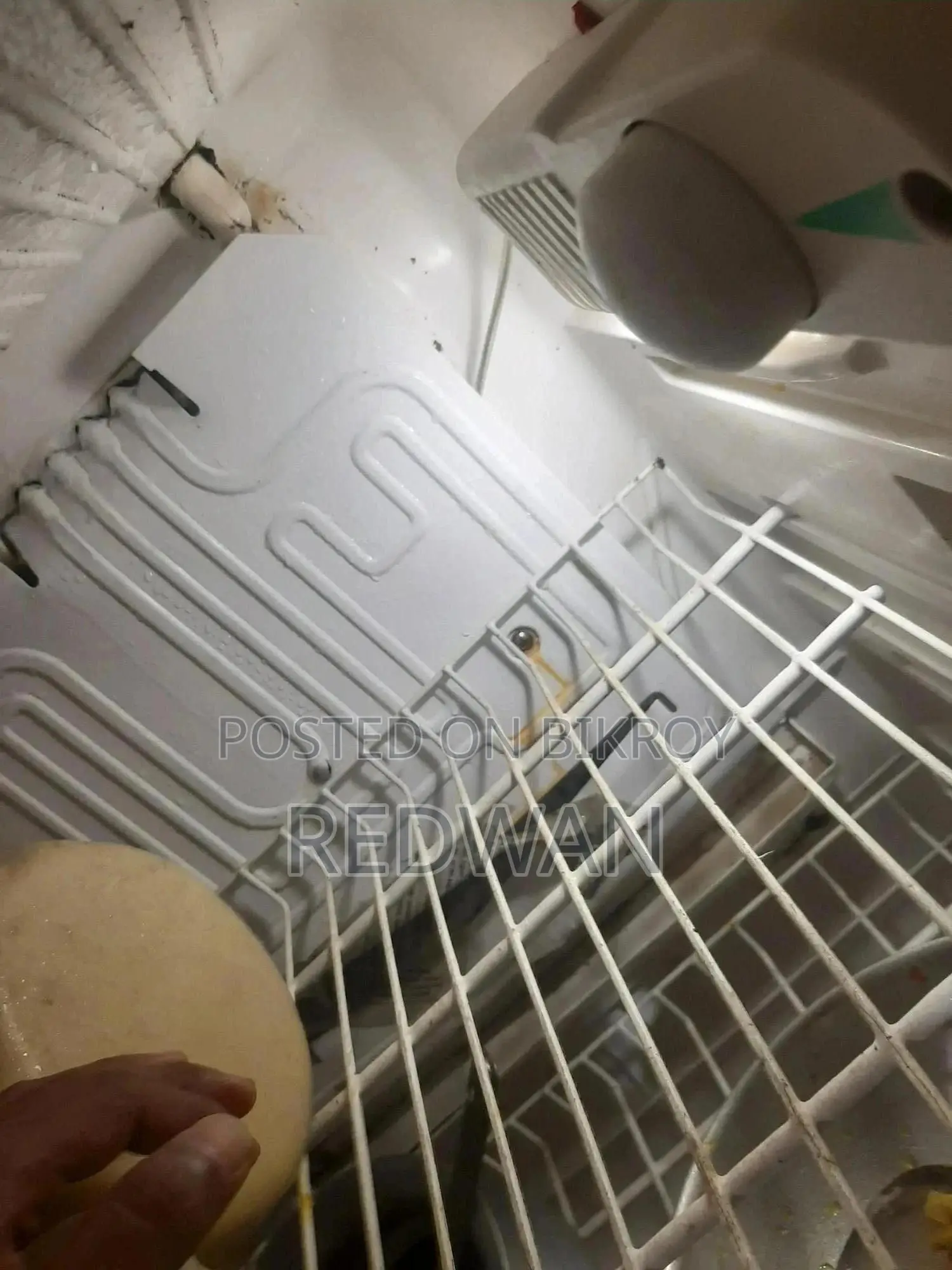 Fridge/Refrigerator