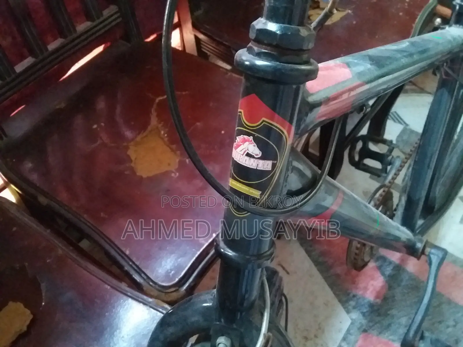 Duranta Bicycle