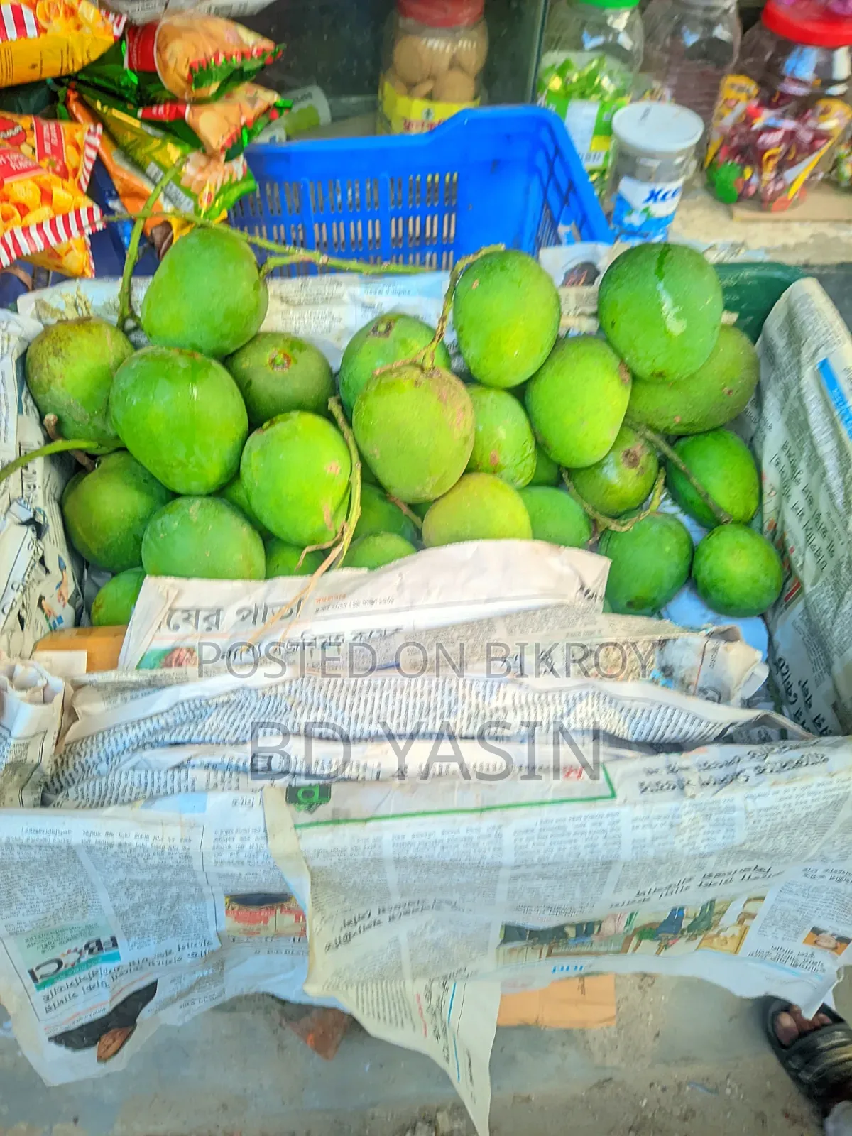 হিম সাগর আম
