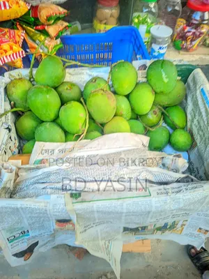 হিম সাগর আম