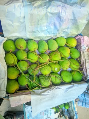 হিম সাগর আম