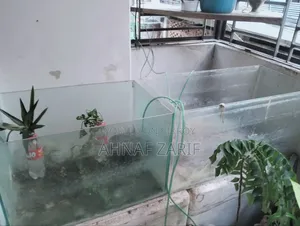 ২টি অ্যাকোয়ারিয়াম বিক্রি হবে