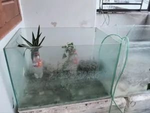 ২টি অ্যাকোয়ারিয়াম বিক্রি হবে