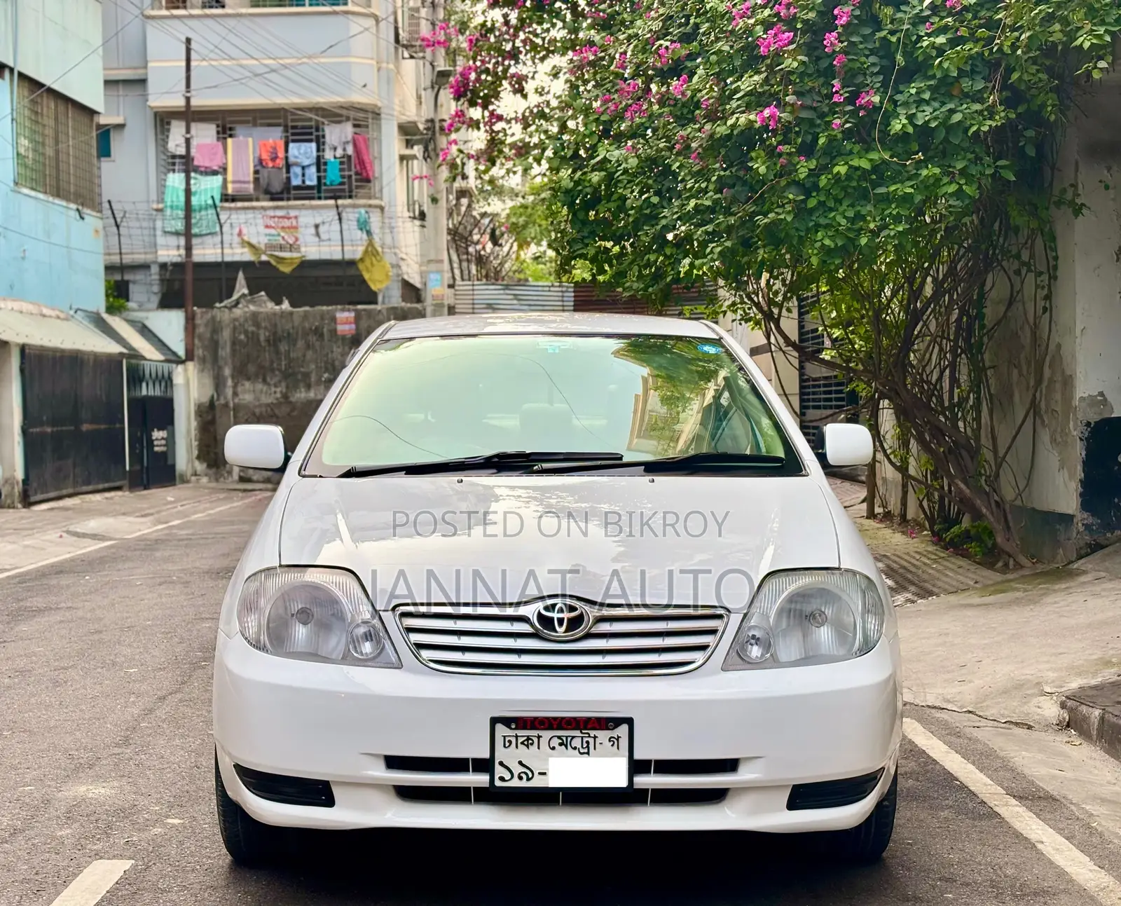 Toyota Corolla Sedan 2003 White