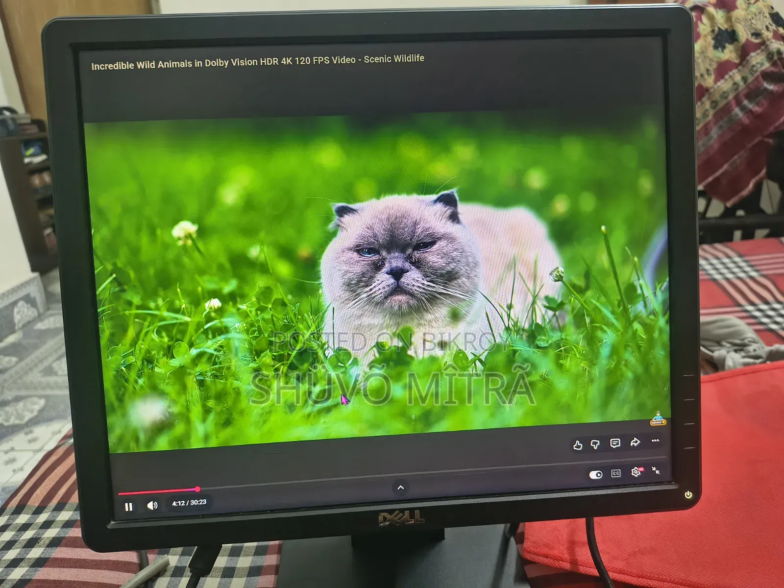 E1715sc Monitor