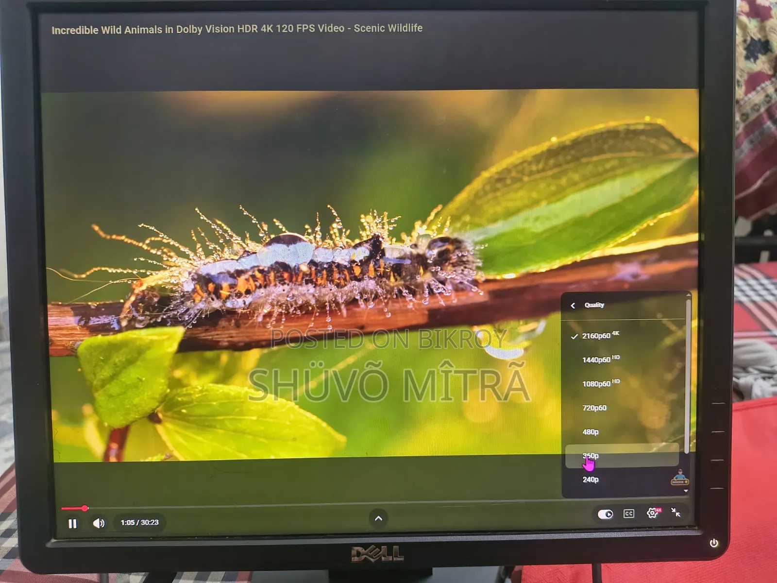 E1715sc Monitor