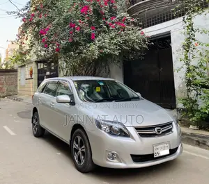 Toyota Axio 2009 Silver