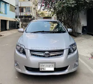 Toyota Axio 2009 Silver