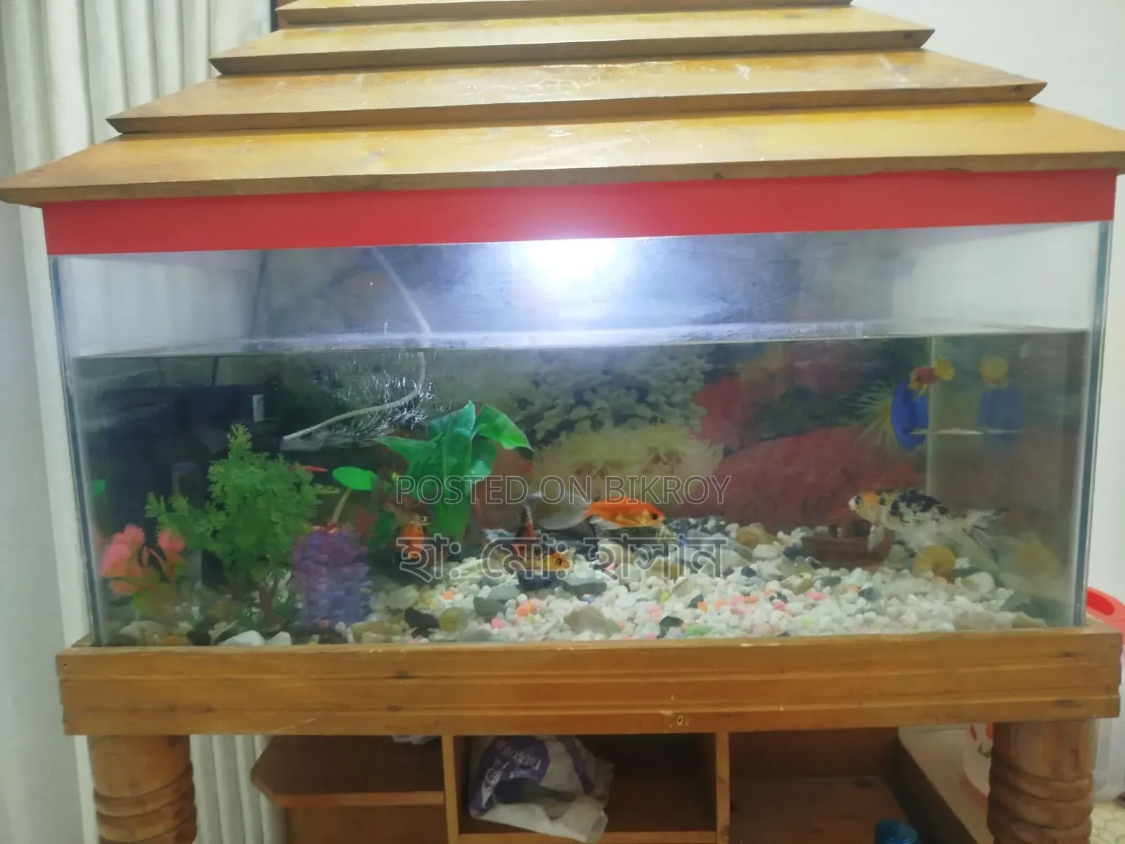 মাছসহ ৩ ফিট একুরিয়াম বিক্রয় হবে