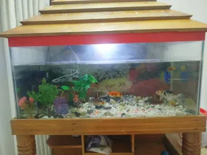 মাছসহ ৩ ফিট একুরিয়াম বিক্রয় হবে