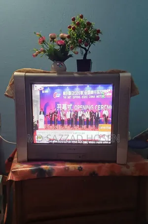 ২১ ইঞ্চি সনি কালার টেলিভিশন