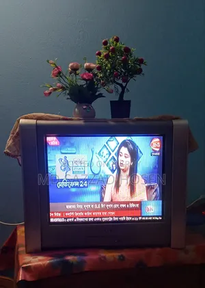 21-inch Sony Color Television