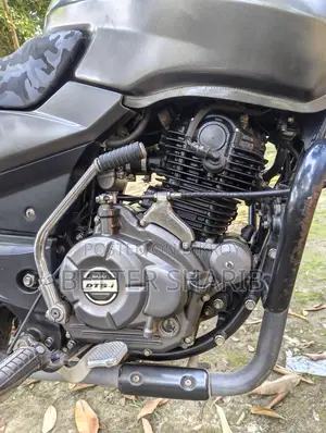 Bajaj Pulsar 150 2021 Gray