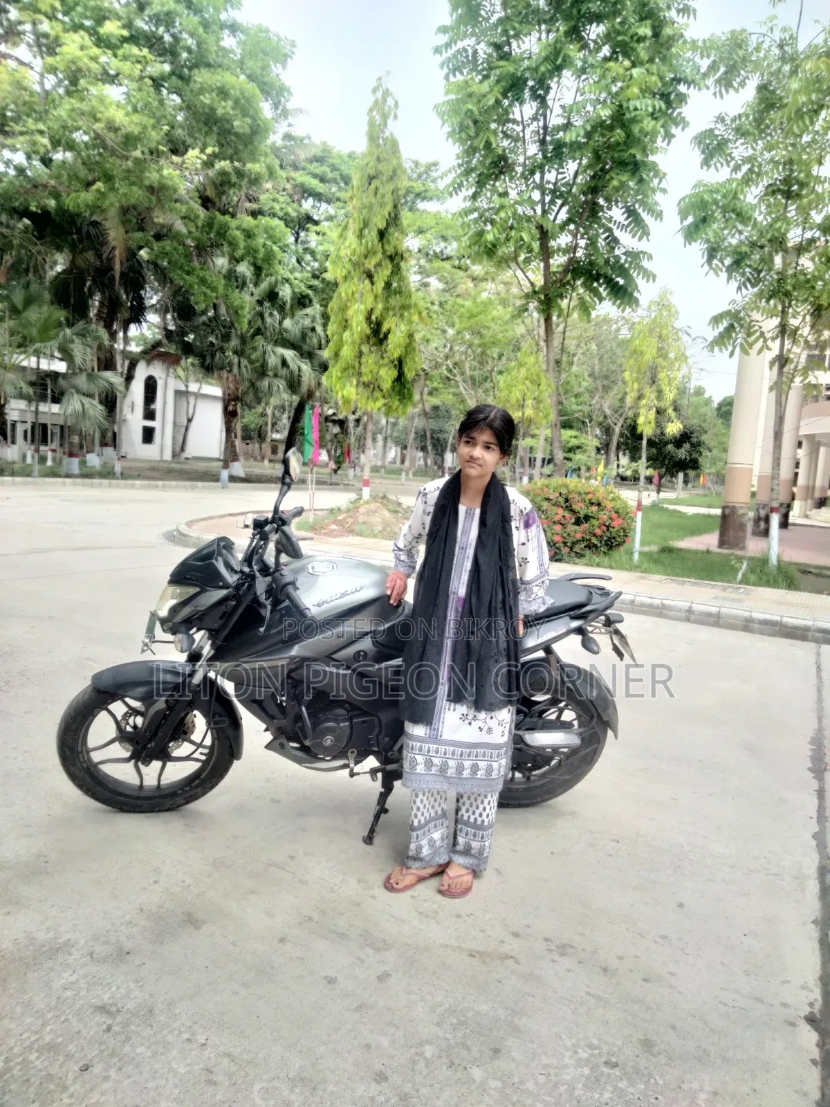 Bajaj Pulsar NS 160 2019 Gray