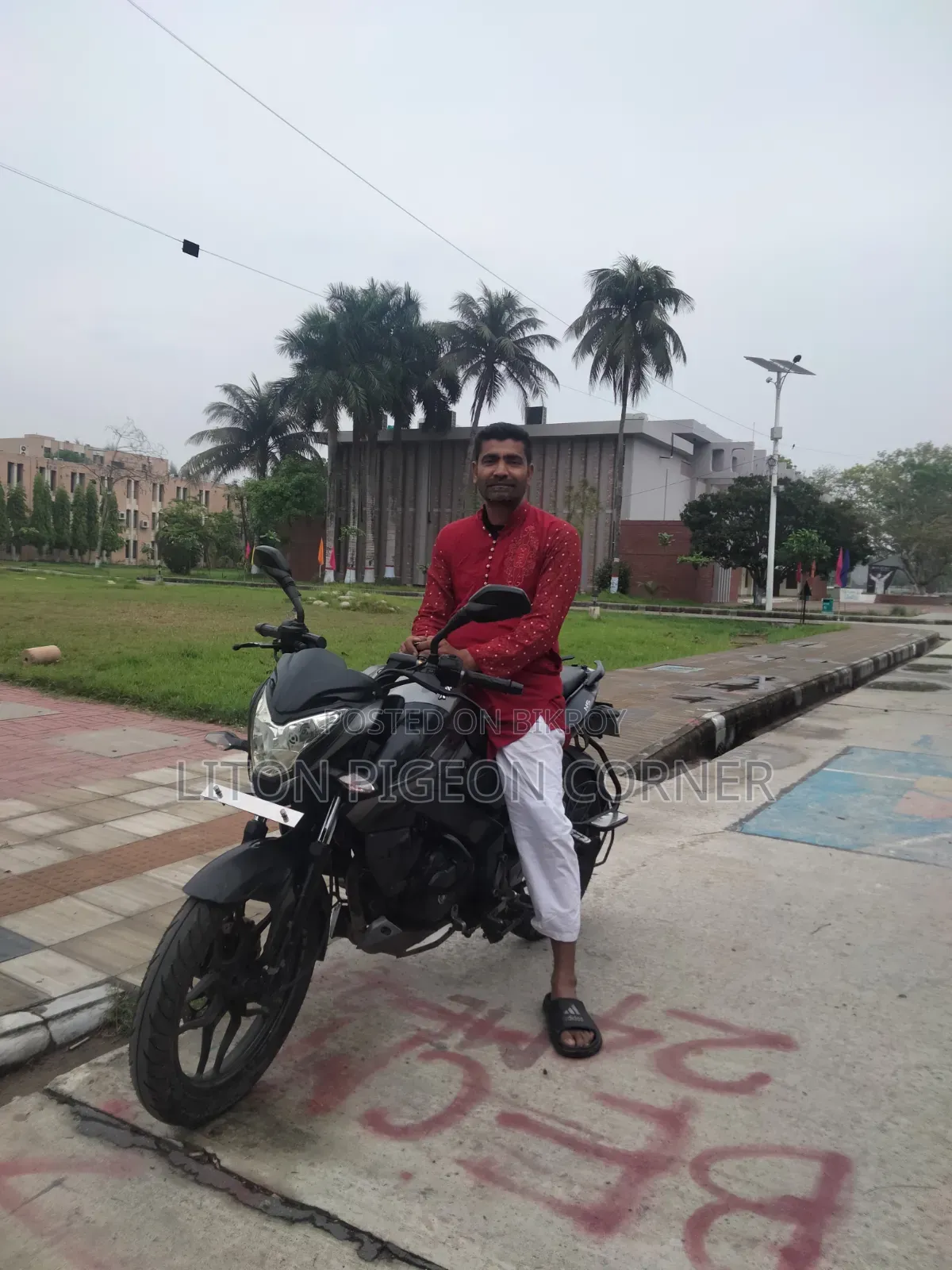 Bajaj Pulsar NS 160 2019 Gray