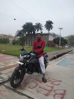 Bajaj Pulsar NS 160 2019 Gray