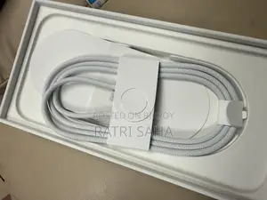 Apple iPhone 16 Pro Max ২৫৬ জিবি সিলভার