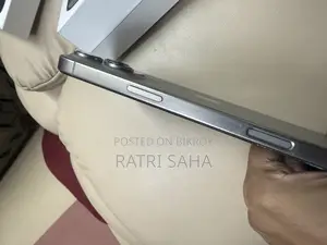 Apple iPhone 16 Pro Max ২৫৬ জিবি সিলভার